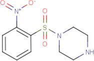 1-[(2-Nitrophenyl)sulphonyl]piperazine
