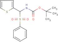 tert-Butyl N-[(phenylsulphonyl)(thien-2-yl)methyl]carbamate