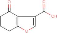 4-Oxo-4,5,6,7-tetrahydrobenzo[b]furan-3-carboxylic acid