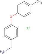 [4-(4-Methylphenoxy)phenyl]methylamine hydrochloride