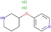 4-[(Piperidin-3-yl)oxy]pyridine dihydrochloride