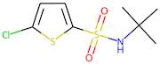 N-(tert-Butyl)-5-chlorothiophene-2-sulphonamide