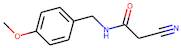 2-Cyano-N-(4-methoxybenzyl)acetamide