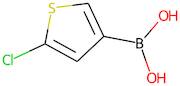 5-Chlorothiophene-3-boronic acid