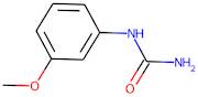 3-Methoxyphenylurea