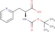 3-Pyridin-2-yl-L-alanine, N-BOC protected