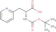 3-Pyridin-2-yl-D-alanine, N-BOC protected