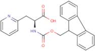 3-Pyridin-2-yl-L-alanine, N-FMOC protected