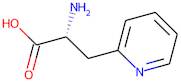 (2R)-2-Amino-3-(pyridin-2-yl)propanoic acid