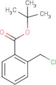 tert-Butyl 2-(chloromethyl)benzoate