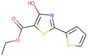 Ethyl 4-hydroxy-2-(thien-2-yl)-1,3-thiazole-5-carboxylate