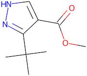 Methyl 3-(tert-butyl)-1H-pyrazole-4-carboxylate