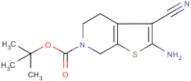 2-Amino-4,5,6,7-tetrahydrothieno[2,3-c]pyridine-3-carbonitrile, N6-BOC protected