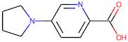 5-(Pyrrolidin-1-yl)pyridine-2-carboxylic acid