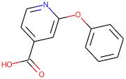 2-Phenoxyisonicotinic acid