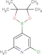 2-Chloro-6-methylpyridine-4-boronic acid, pinacol ester