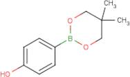 4-Hydroxybenzeneboronic acid, neopentyl glycol ester