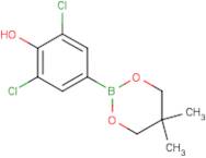 3,5-Dichloro-4-hydroxybenzeneboronic acid, neopentyl glycol ester