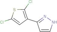 3-(2,5-Dichloro-thien-3-yl)-1H-pyrazole