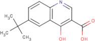 6-tert-Butyl-4-hydroxyquinoline-3-carboxylic acid