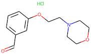 3-[2-(Morpholin-4-yl)ethoxy]benzaldehyde hydrochloride