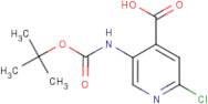 5-Amino-2-chloroisonicotinic acid, 5-BOC protected