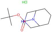 3,9-Diazabicyclo[3.3.1]nonane, N9-BOC protected hydrochloride