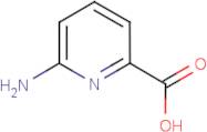 6-Aminopyridine-2-carboxylic acid