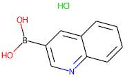 Quinoline-3-boronic acid hydrochloride