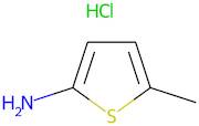 2-Amino-5-methylthiophene hydrochloride