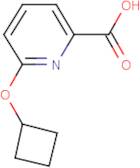 6-Cyclobutoxypyridine-2-carboxylic acid