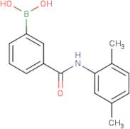 3-[(2,5-Dimethylphenyl)carbamoyl]benzeneboronic acid