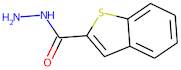 benzo[b]thiophene-2-carbohydrazide