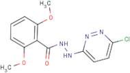 N'1-(6-chloropyridazin-3-yl)-2,6-dimethoxybenzene-1-carbohydrazide