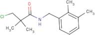 N1-(2,3-dimethylbenzyl)-3-chloro-2,2-dimethylpropanamide