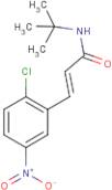 N1-(tert-butyl)-3-(2-chloro-5-nitrophenyl)acrylamide