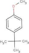 4-(tert-Butyl)anisole