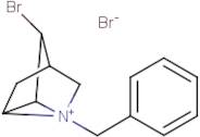 1-benzyl-3-bromo-1-azoniatricyclo[2.2.1.0~2,6~]heptane bromide
