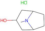 8-methyl-8-azabicyclo[3.2.1]octan-3-ol hydrochloride