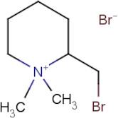 2-(bromomethyl)-1,1-dimethylhexahydropyridinium bromide