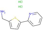 1-[5-(Pyridin-2-yl)thien-2-yl]methylamine dihydrochloride