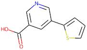 5-(Thien-2-yl)nicotinic acid