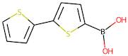 2,2'-Bithiophene-5-boronic acid