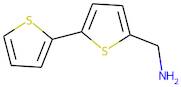 5-(Aminomethyl)-[2,2']-bithiophene