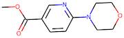 methyl 6-morpholinonicotinate