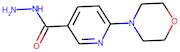 6-(Morpholin-4-yl)nicotinic acid hydrazide