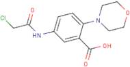 5-[(2-chloroacetyl)amino]-2-morpholinobenzoic acid