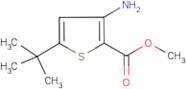 Methyl 3-amino-5-(tert-butyl)thiophene-2-carboxylate