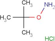 O-(tert-Butyl)hydroxylamine hydrochloride