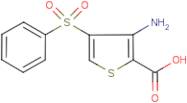 3-Amino-4-(phenylsulphonyl)thiophene-2-carboxylic acid